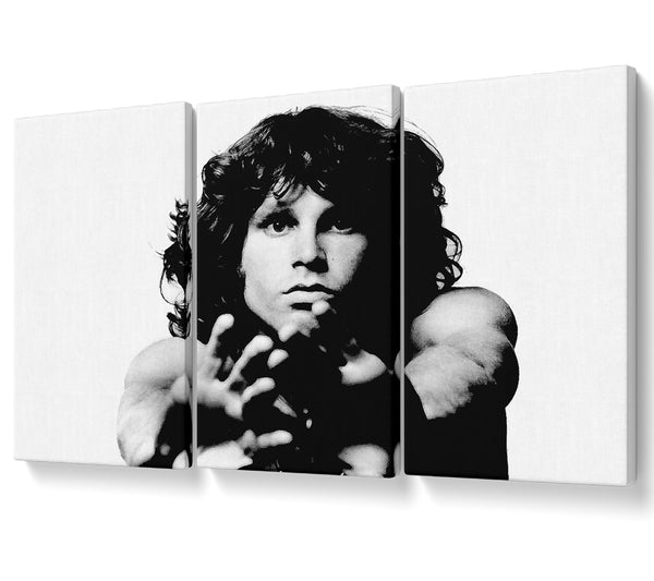 The Doors Jim Morrison