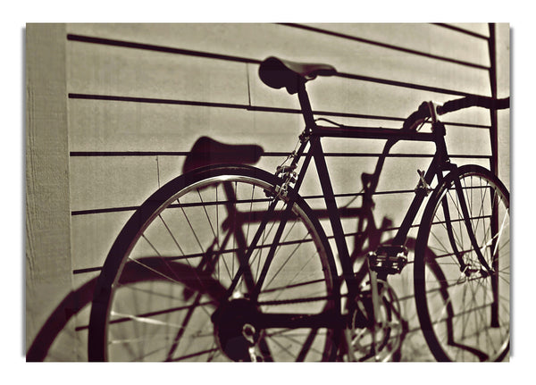 Vintage Schwinn