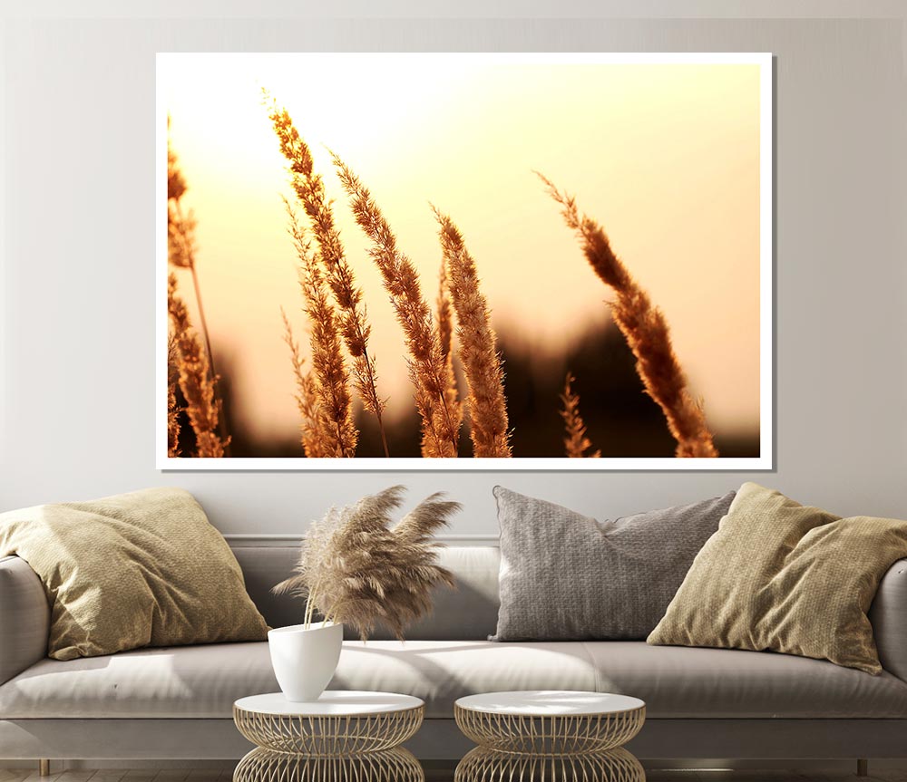 Yellow Sunset Print Poster Wall Art