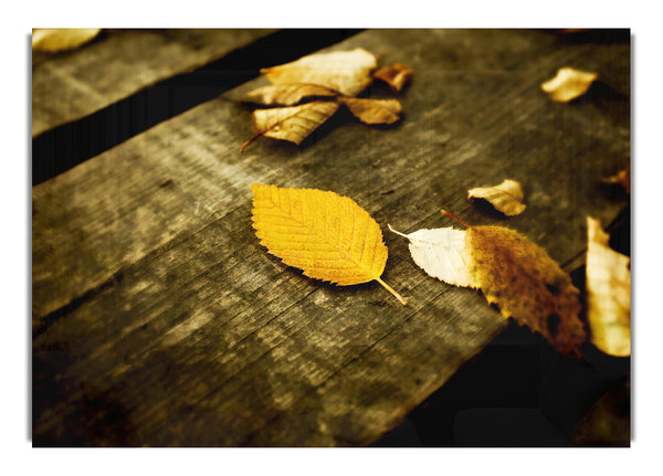 Autumn Leaves On The Deck