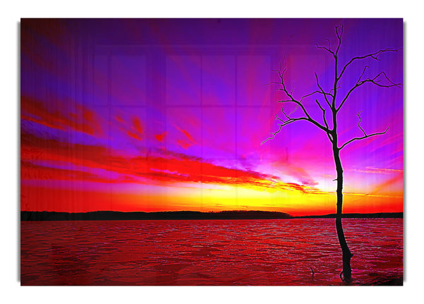 Sunset Tree 2