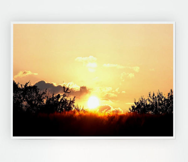 Golden Wheat Field At Sunset Print Poster Wall Art