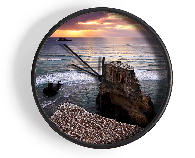 Gannet Colony Clock - Wallart-Direct UK