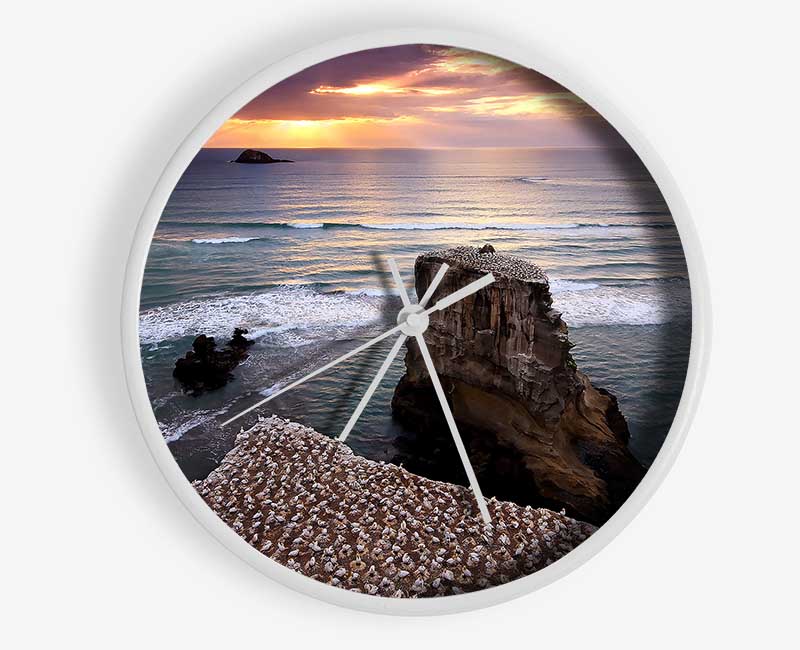 Gannet Colony Clock - Wallart-Direct UK