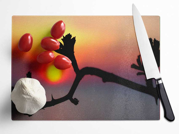 Embrace The Sun Glass Chopping Board