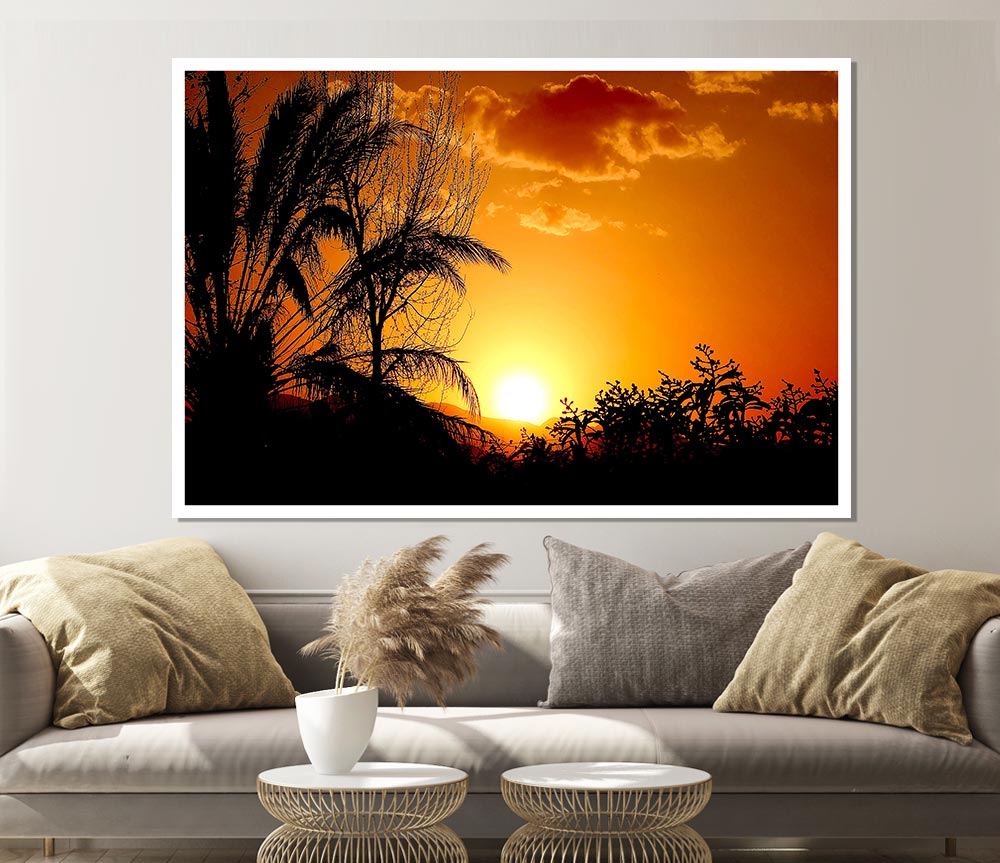 Beautiful Sunset Trees Print Poster Wall Art