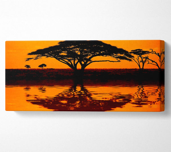 African Tree Reflection