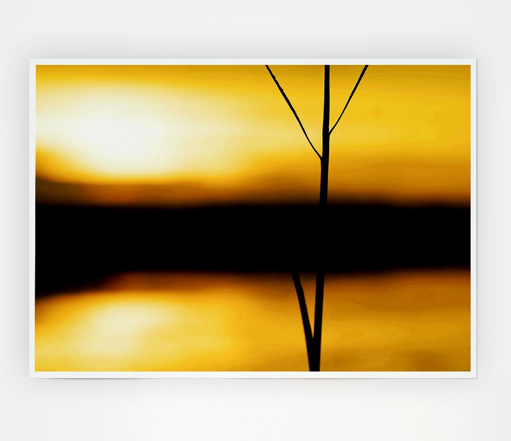 Golden Lake Reflections Print Poster Wall Art