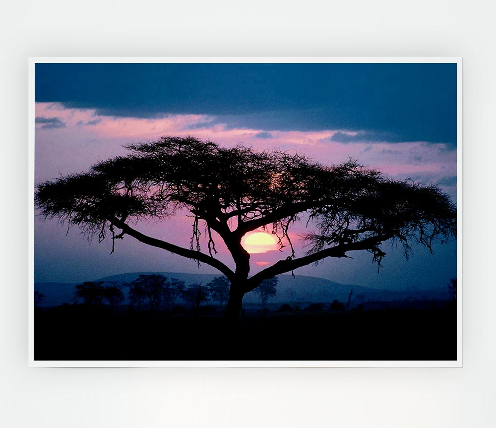 East African Sunset Print Poster Wall Art