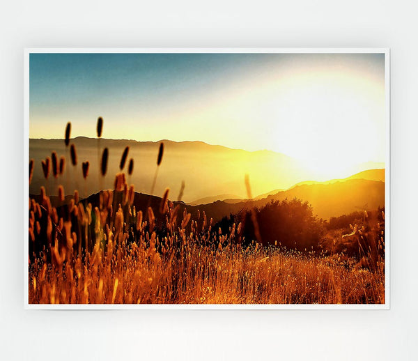 Late Summer Field Print Poster Wall Art