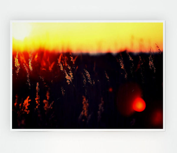 Hot Sunset Print Poster Wall Art