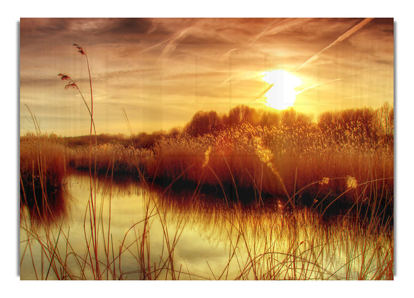 Sunset At Bieslandse Forest