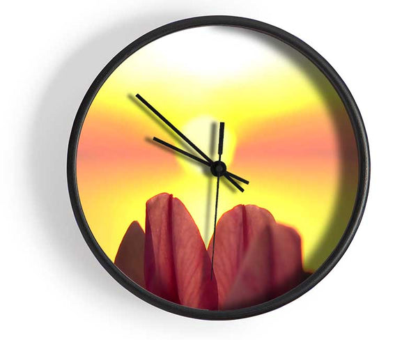 Life Source Clock - Wallart-Direct UK