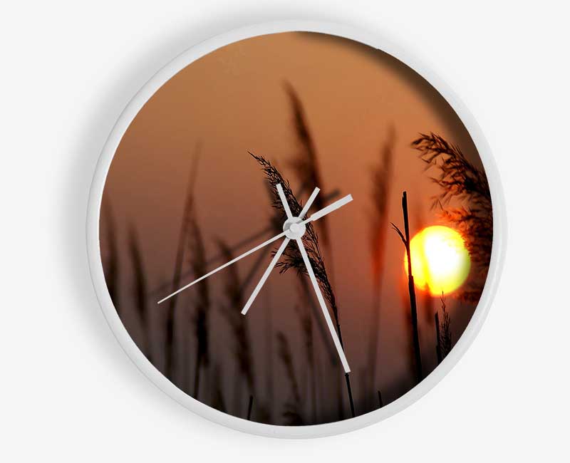 Reed Silhouette At Sunset Clock - Wallart-Direct UK