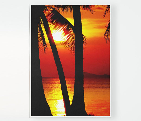 Golden Reflections Of The Palmtree Sun Print Poster Wall Art