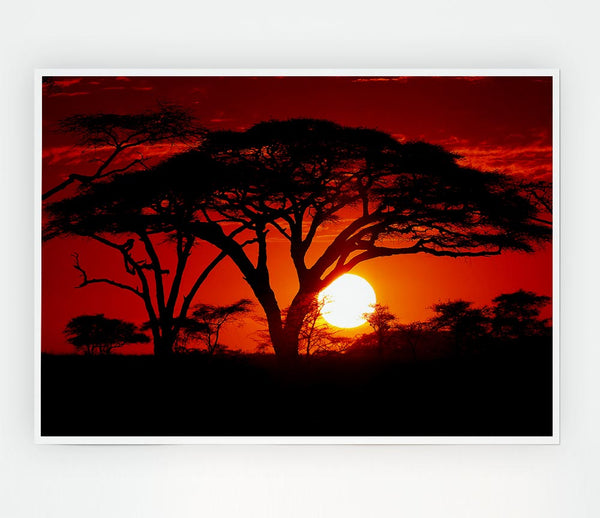 As The Night Falls Print Poster Wall Art