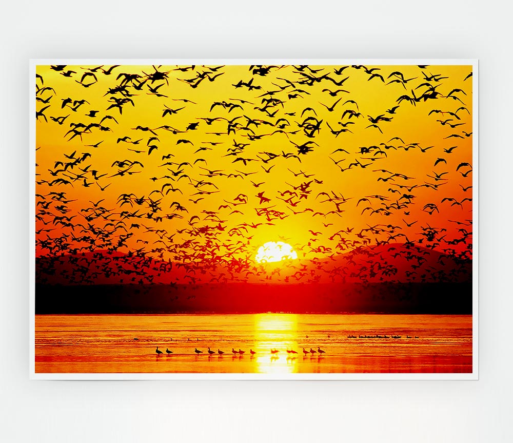 The Birds In The Golden Sunset Print Poster Wall Art