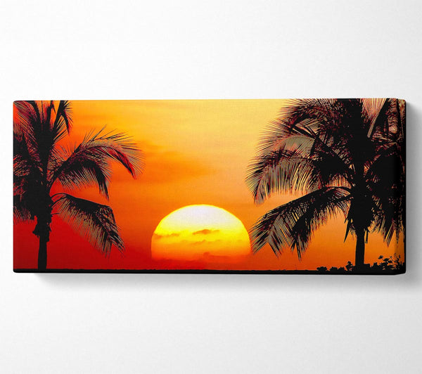 Sun Between The Palmtrees