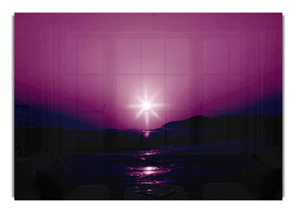 Sunstar Purple