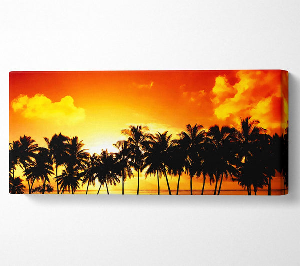 Orange Palm Tree Sunset