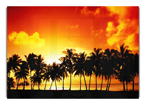 Orange Palm Tree Sunset