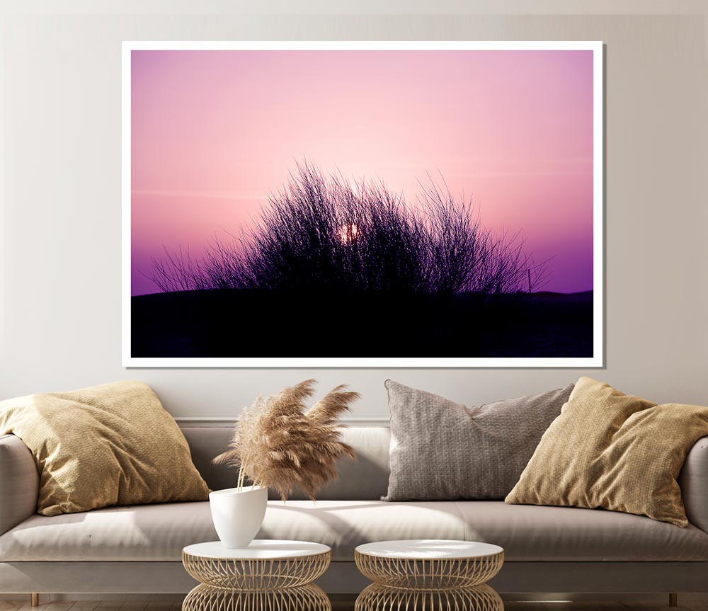 The Sun Reeds Pink Print Poster Wall Art