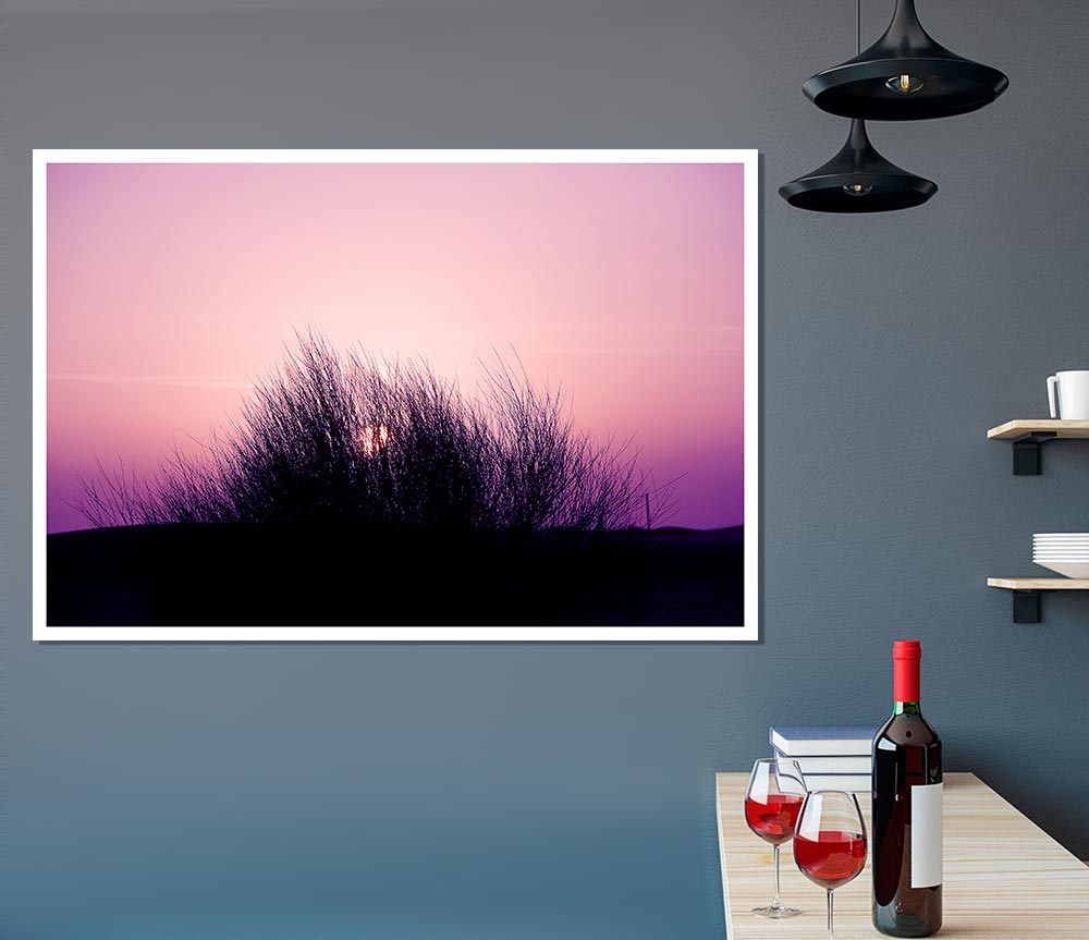 The Sun Reeds Pink Print Poster Wall Art