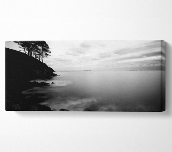 Tree Top Ocean Calm B n W