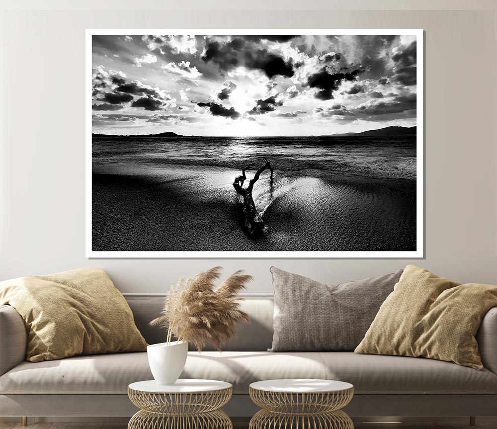 Driftwood B N W Print Poster Wall Art