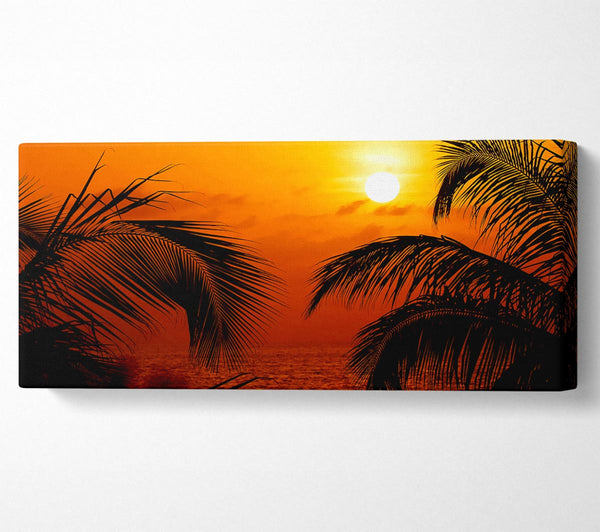 Orange Palmtree Sun