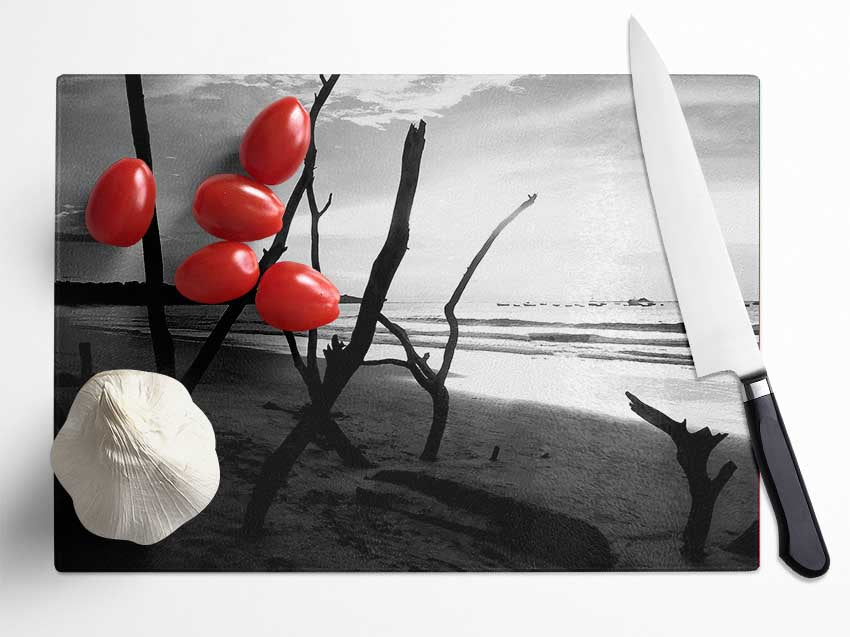 Driftwood Beach B n W Glass Chopping Board