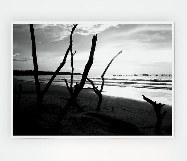 Driftwood Beach B N W Print Poster Wall Art