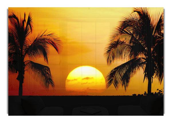 Palmtree Sunset