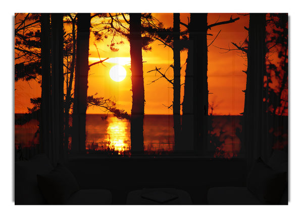 Orange Sunset Through The Trees