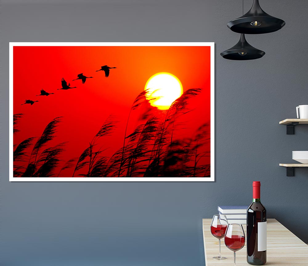 Geese In Flight Under The Red Sun Print Poster Wall Art