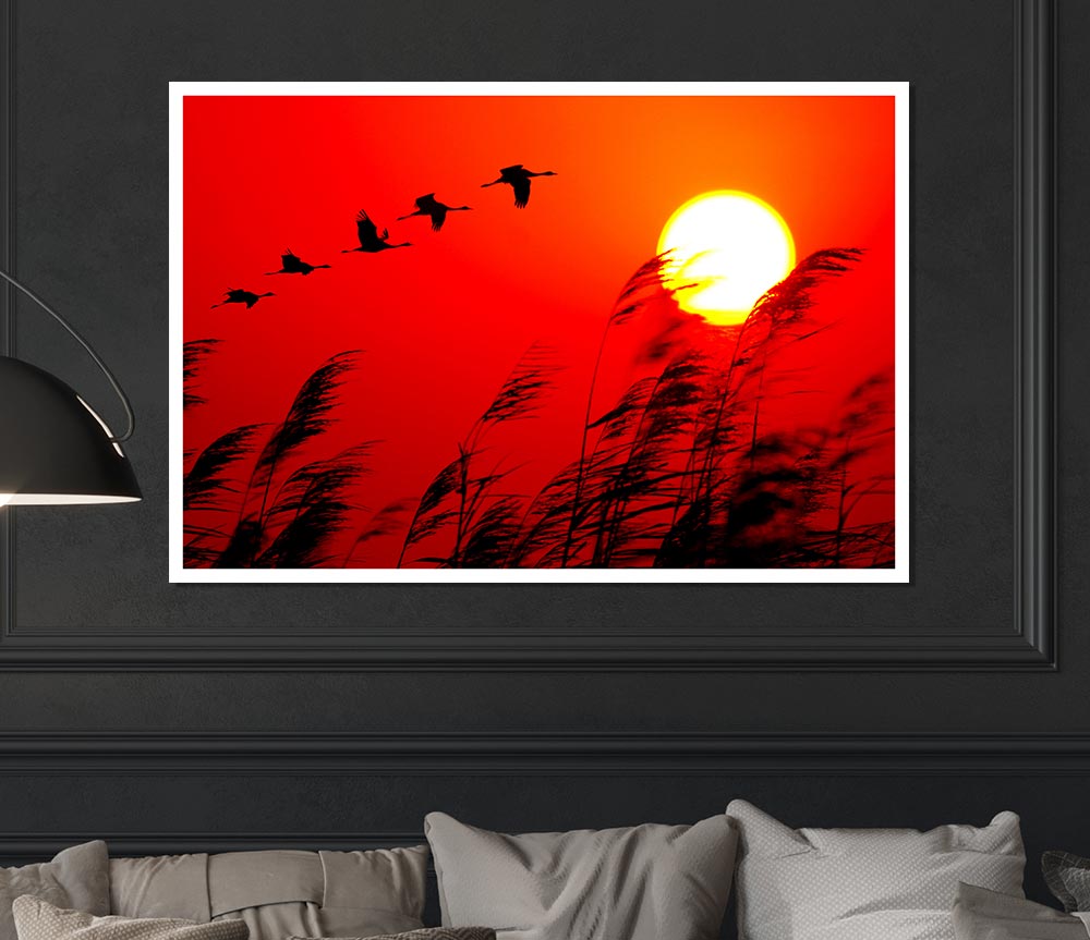 Geese In Flight Under The Red Sun Print Poster Wall Art