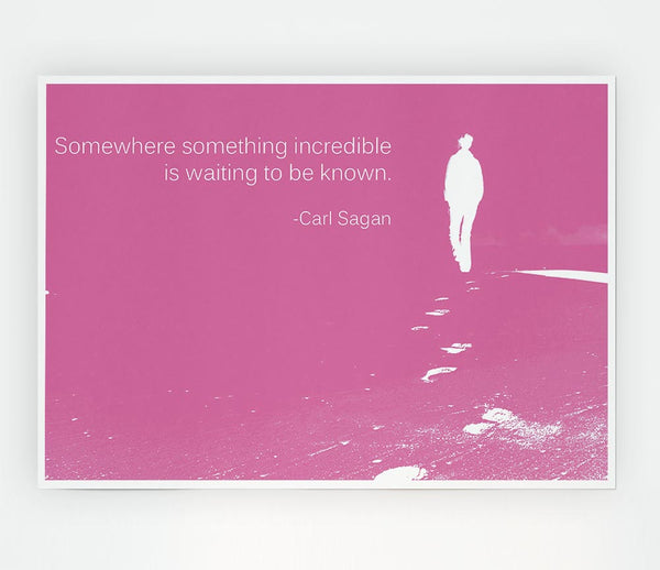 Carl Sagan Somewhere Something Pink Print Poster Wall Art