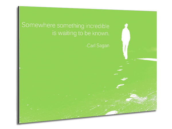 Carl Sagan Somewhere Something Lime Green