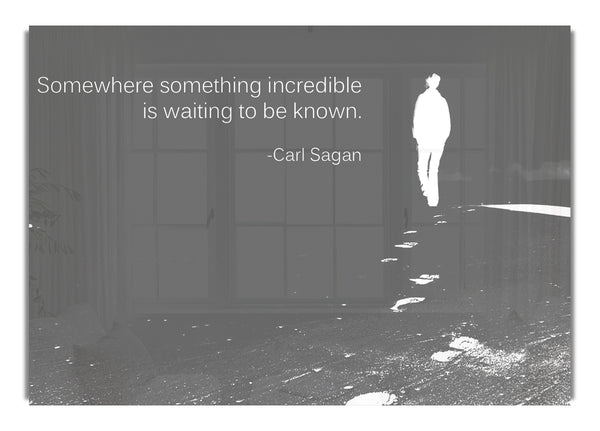 Carl Sagan Somewhere Something  Grey