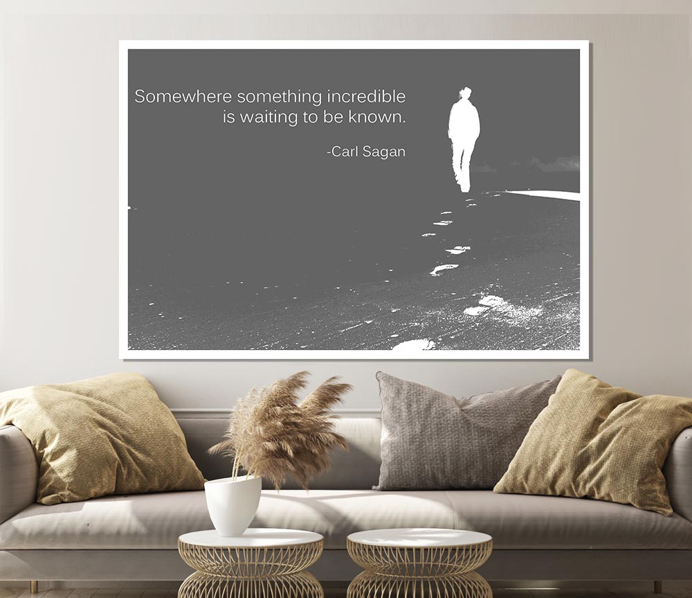 Carl Sagan Somewhere Something Grey Print Poster Wall Art