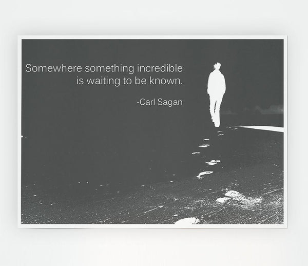 Carl Sagan Somewhere Something Grey Print Poster Wall Art