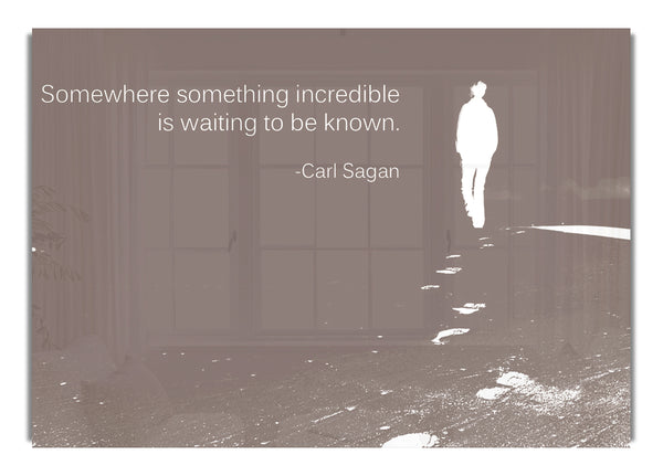 Carl Sagan Somewhere Something  Beige