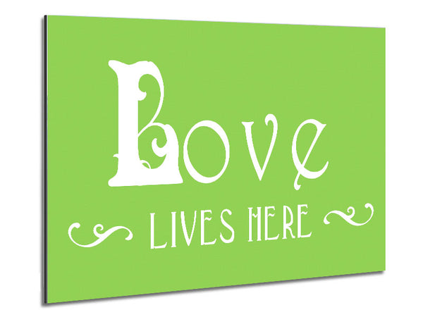 Love Quote Love Lives Here Vines Lime Green