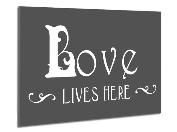 Love Quote Love Lives Here Vines Grey