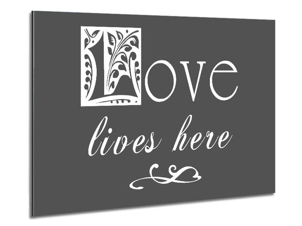 Love Quote Love Lives Here Grey