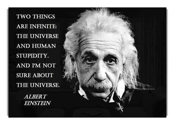 Albert Einstein The Universe