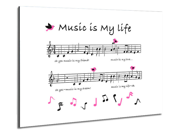 Music Is My Life White