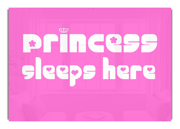 Princesssleeps2 Vivid Pink