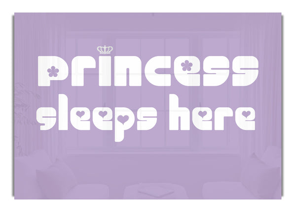 Princesssleeps2 Lilac