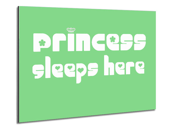 Nursery Quote Princess sleeps 2 Green